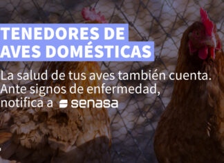 Influenza Aviar | Tenedores de aves domésticas