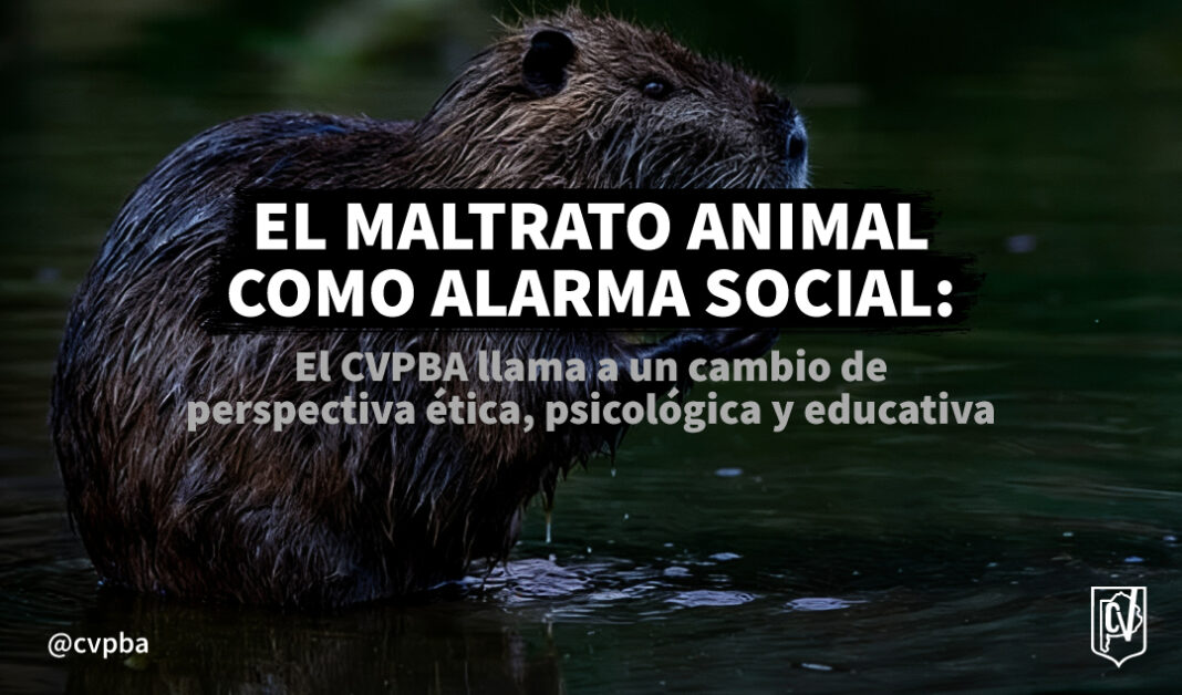 maltrato a