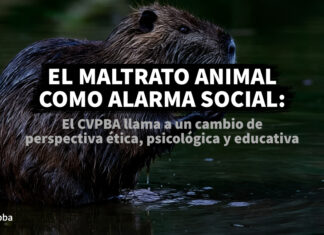 El maltrato animal como alarma social
