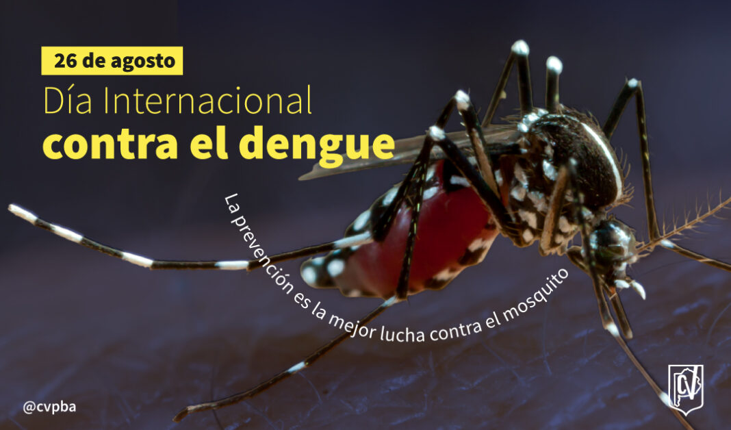 dengue-06