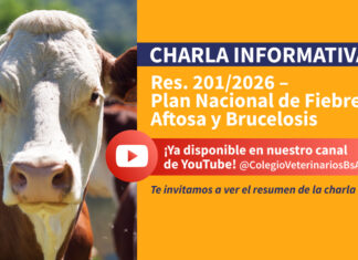 Resumen: Aplicación de la Resolución N° 201/2026
