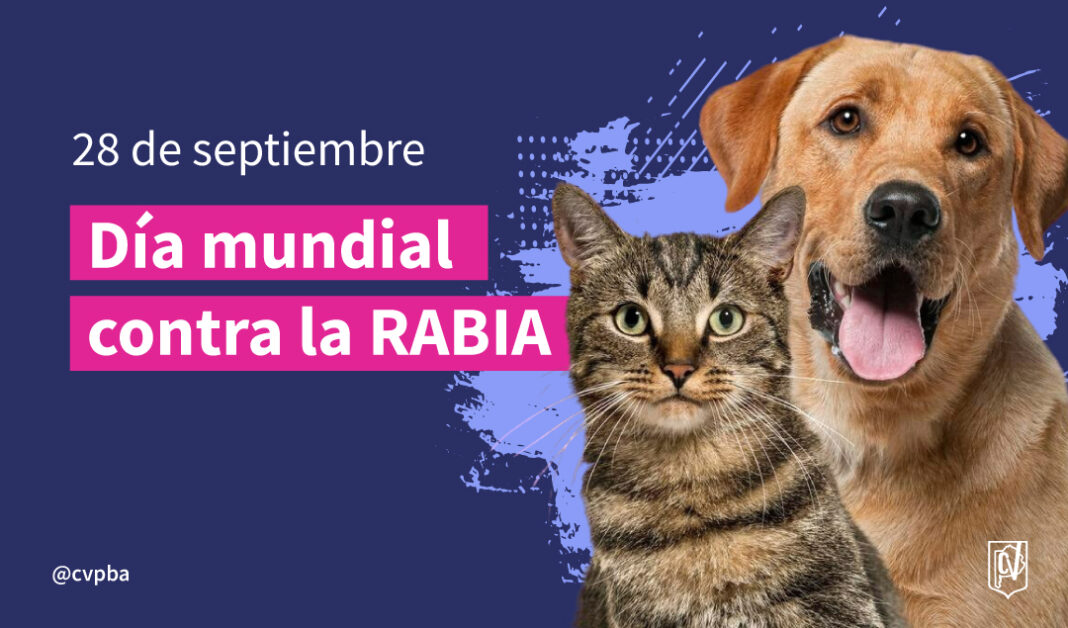 WEB RABIA-05