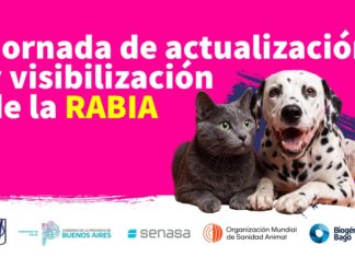 Jornada de Actualización y Visibilización de la Rabia