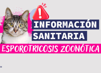 Esporotricosis zoonótica: claves para la detección temprana, prevención y notificación en la región