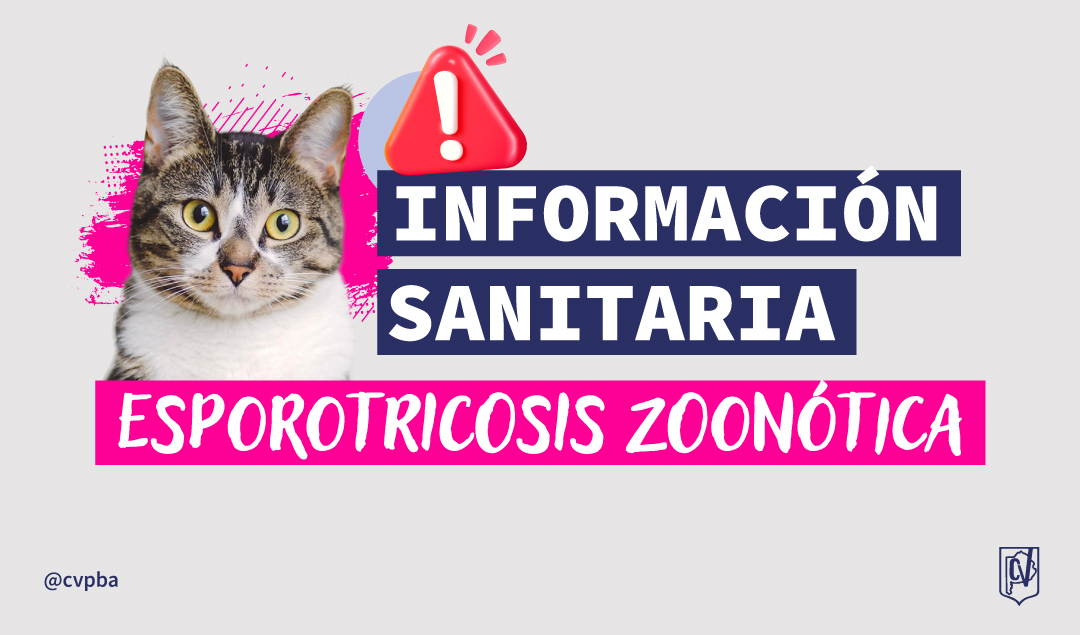 Esporotricosis zoonótica: claves para la detección temprana, prevención y notificación en la región