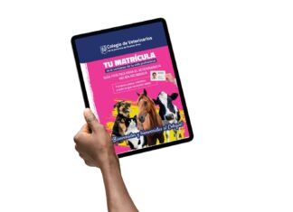 Nuevo material disponible – Folleto digital para futuros matriculados